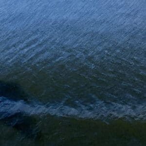 Alma & Dejan