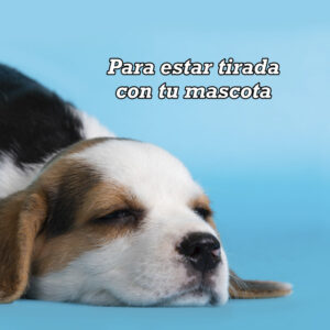 Amaia & Alfred