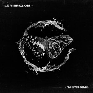 The Vibrazioni