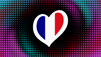 Eurovision France 2025 misc
