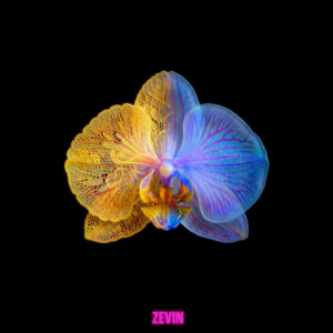 Zevin